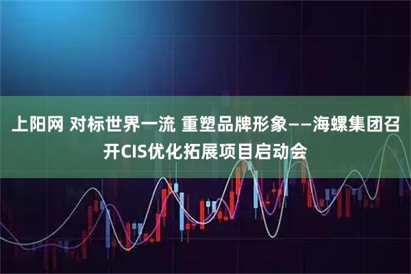 上阳网 对标世界一流 重塑品牌形象——海螺集团召开CIS优化拓展项目启动会