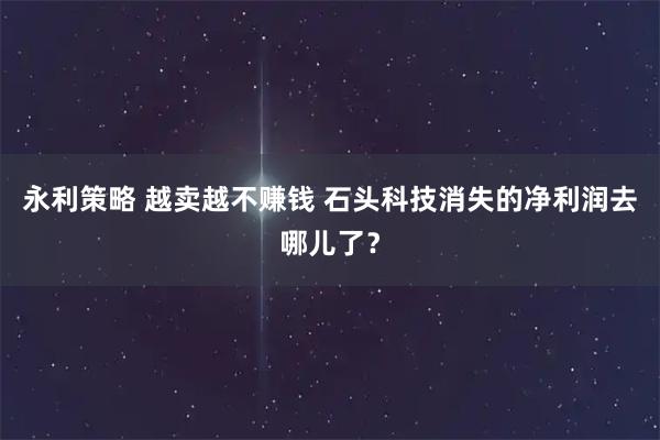 永利策略 越卖越不赚钱 石头科技消失的净利润去哪儿了？