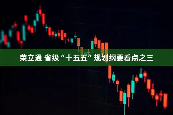 荣立通 省级“十五五”规划纲要看点之三
