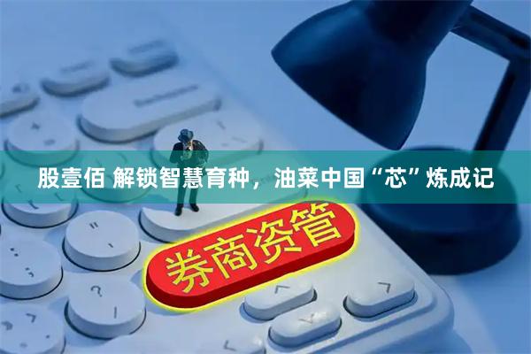 股壹佰 解锁智慧育种，油菜中国“芯”炼成记