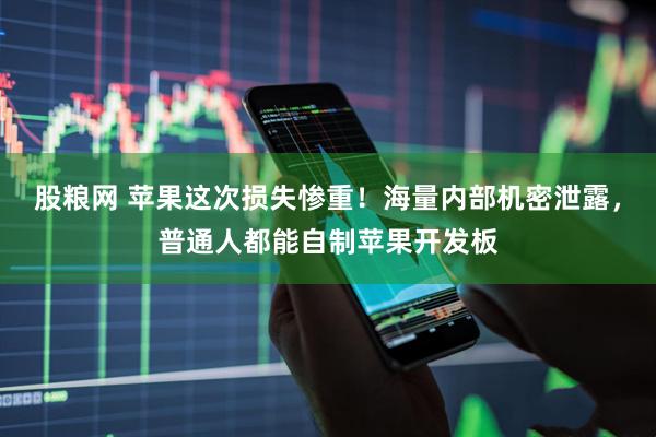 股粮网 苹果这次损失惨重！海量内部机密泄露，普通人都能自制苹果开发板