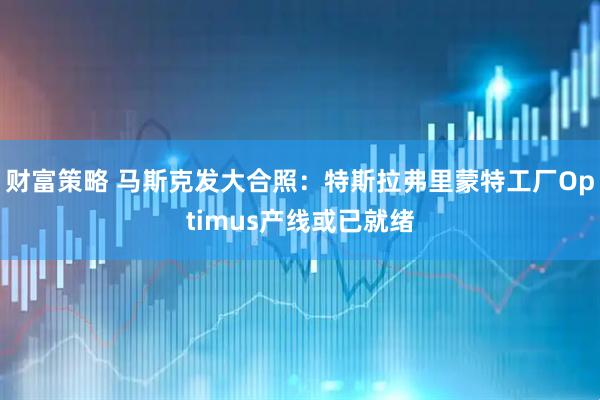 财富策略 马斯克发大合照：特斯拉弗里蒙特工厂Optimus产线或已就绪