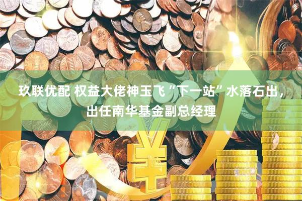玖联优配 权益大佬神玉飞“下一站”水落石出，出任南华基金副总经理
