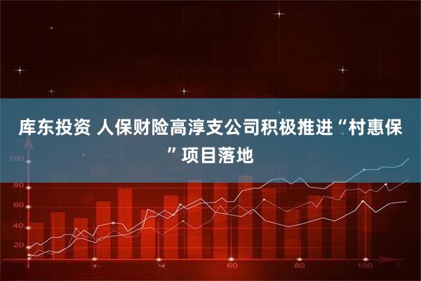 库东投资 人保财险高淳支公司积极推进“村惠保”项目落地
